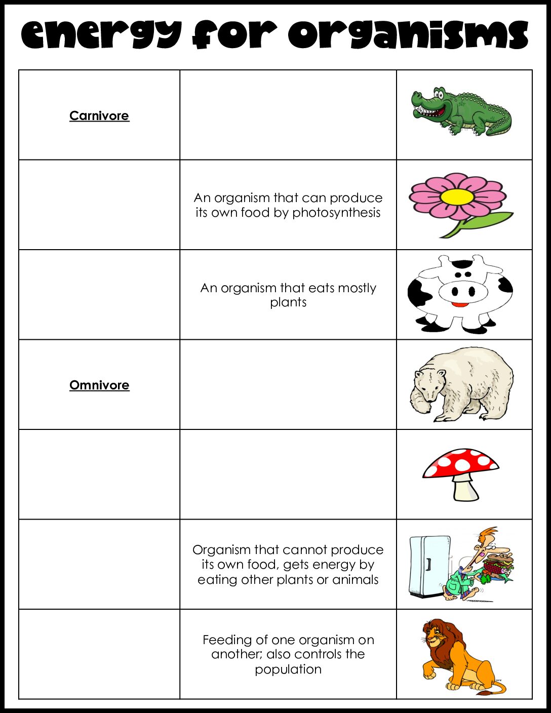 Energy For Organisms Matching