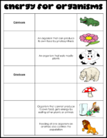 Energy For Organisms Matching