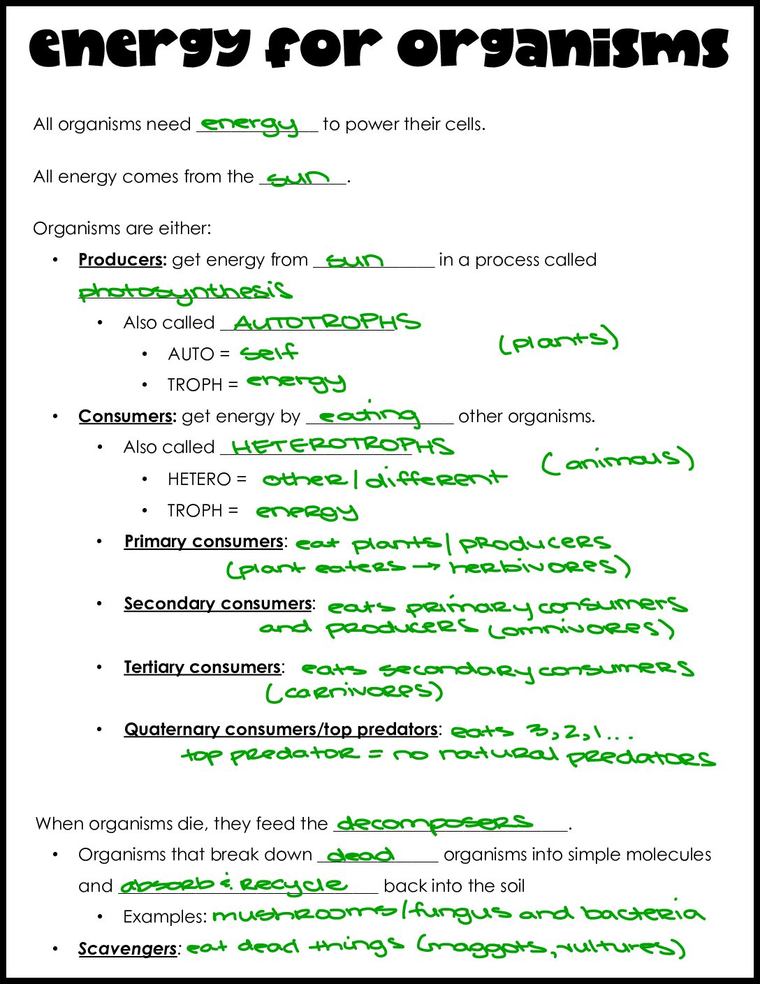Energy For Organisms Notes Key