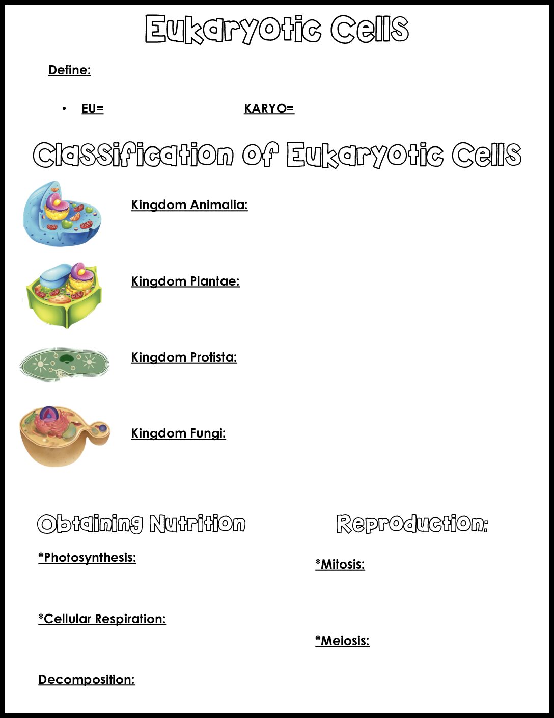 Eukaryotic Cells Notes