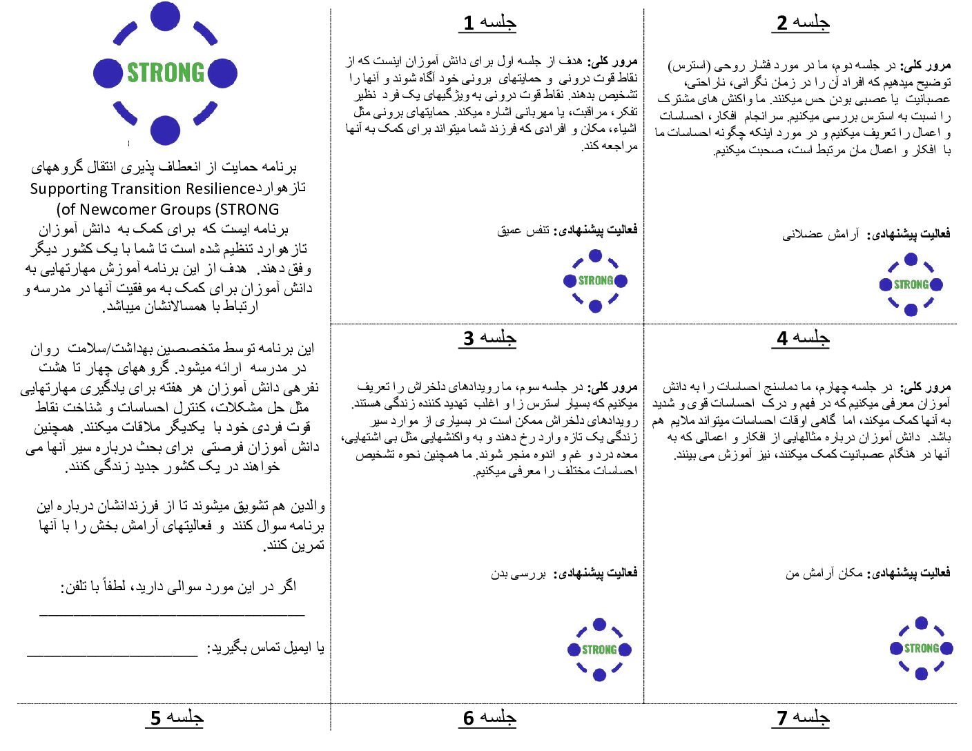 (Farsi) STRONG Parent Summary