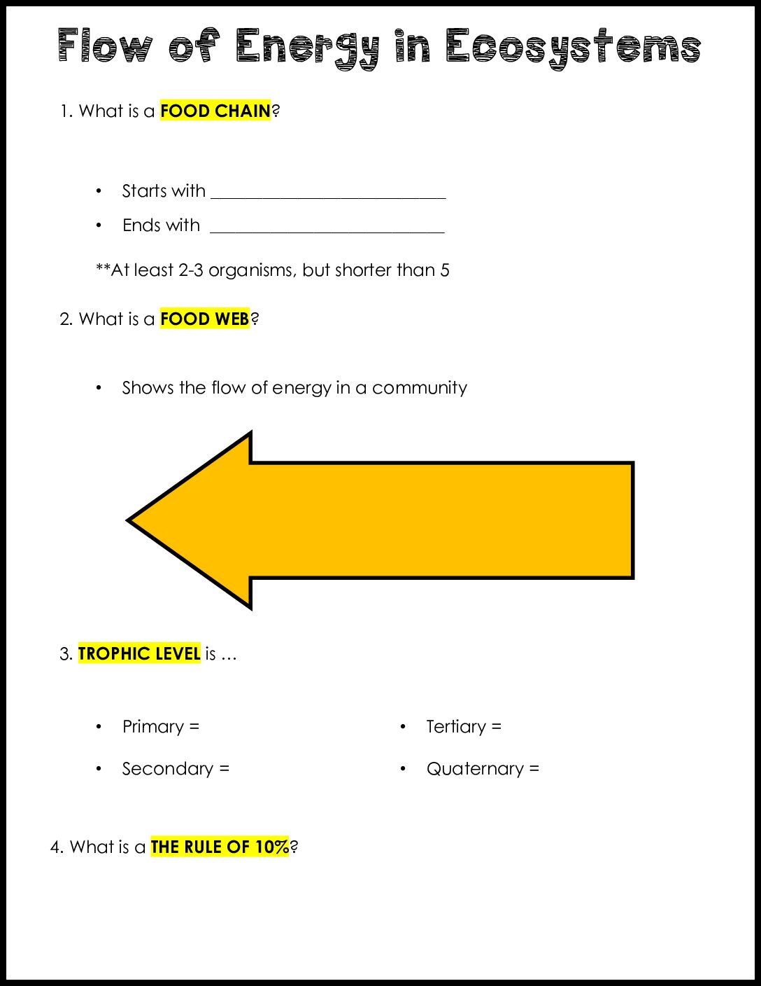 Flow Of Energy İn An Ecosystem