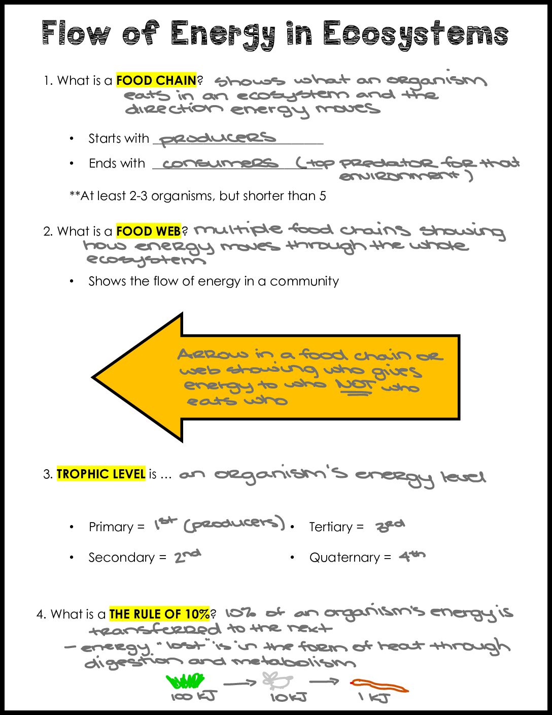 Flow Of Energy İn Ecosystems Notes Key