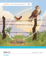 G3 U11 Activity Book