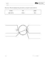 G3 U3 Ab Ap Pp.4 Page135