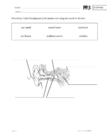 G3 U3 Ab Ap Pp.5 Page137