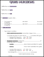 Gene Mutation Notes