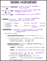 Gene Mutations Notes