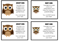 Hoot Game Cards