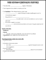 Integumentary System Notes