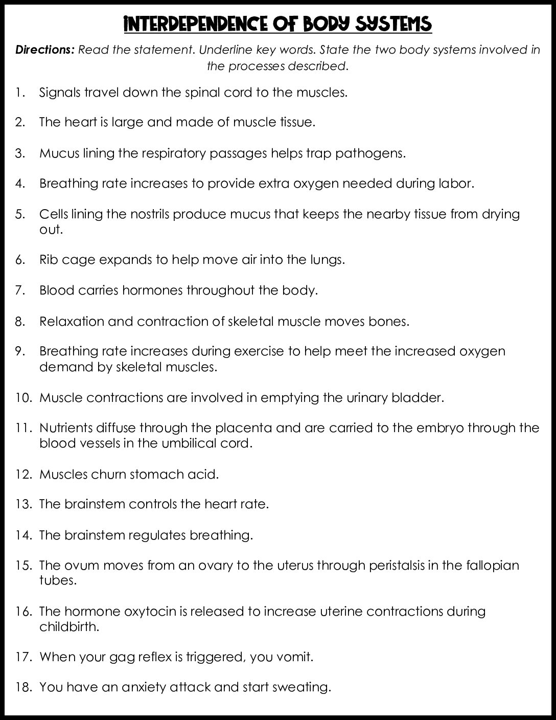 Interdependence Of Body Systems