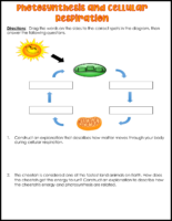 Interdependence of PS and CR