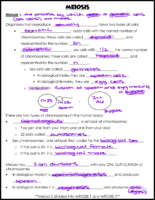 Meiosis Notes Key