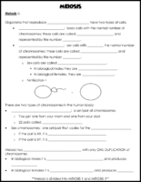 Meiosis Notes