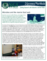 Microbes And The Marine Food Web