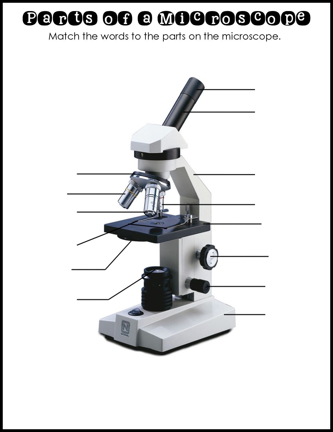 Microscope Labeling And Parts Vocabulary