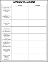 Mitosis Vs Meiosis
