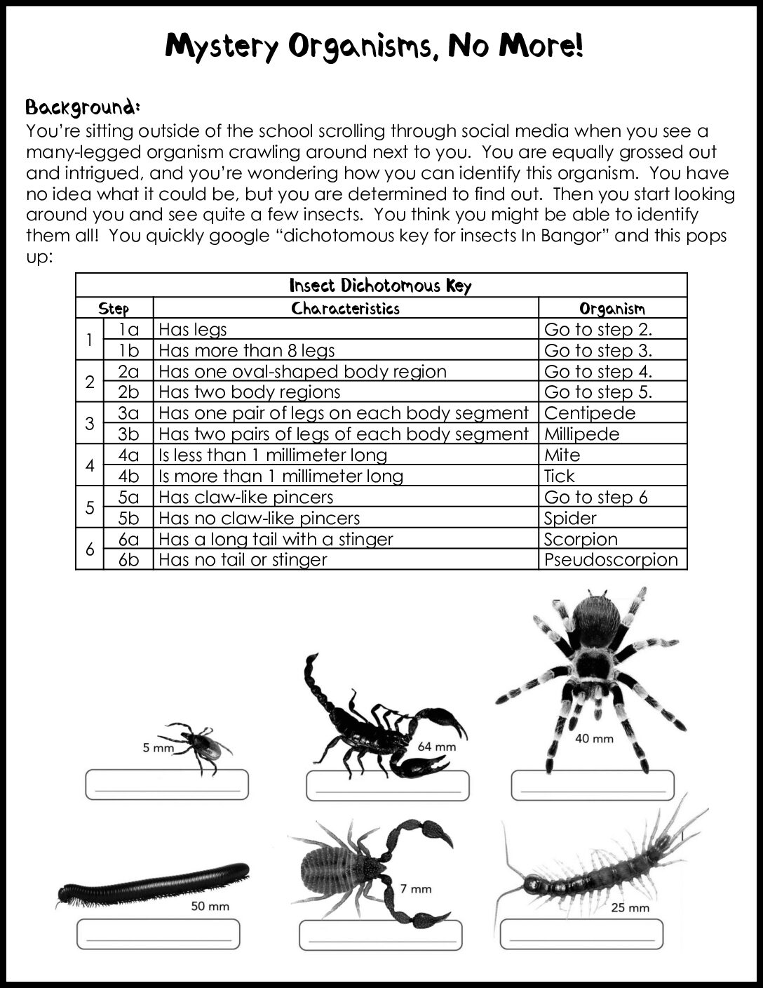 Mystery Organisms No More