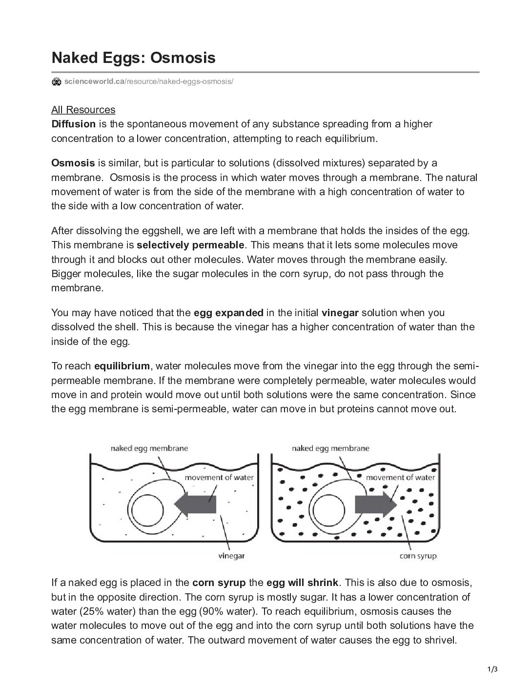 Naked Egg Osmosis