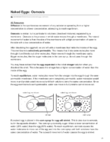 Naked Egg Osmosis