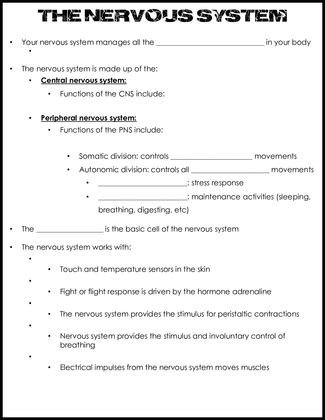 Nervous System Notes