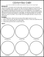 Observing Cells Lab (1)