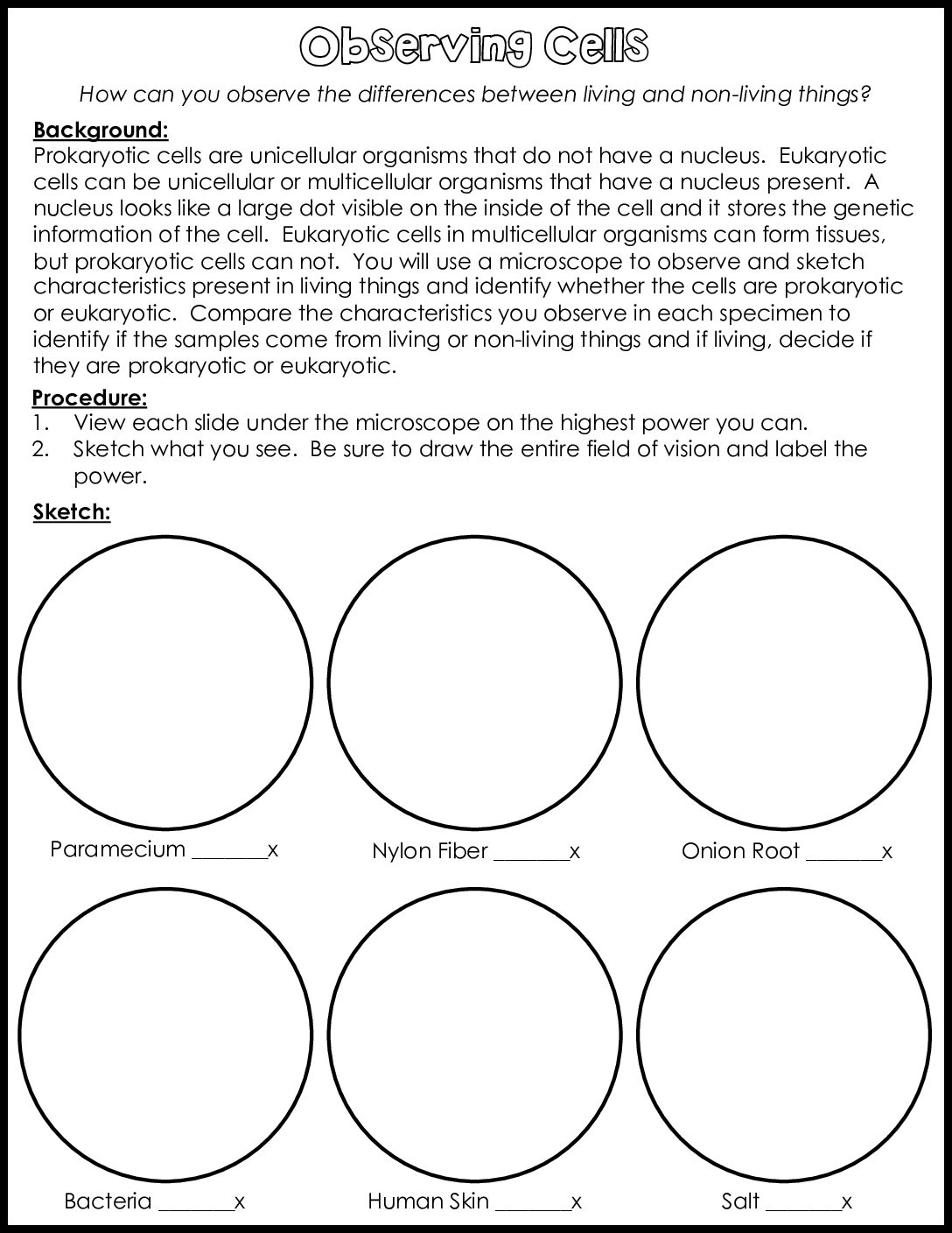 Observing Cells Lab V2