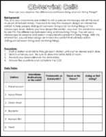 Observing Cells Lab Version 1