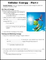 Overview of Cellular Energy