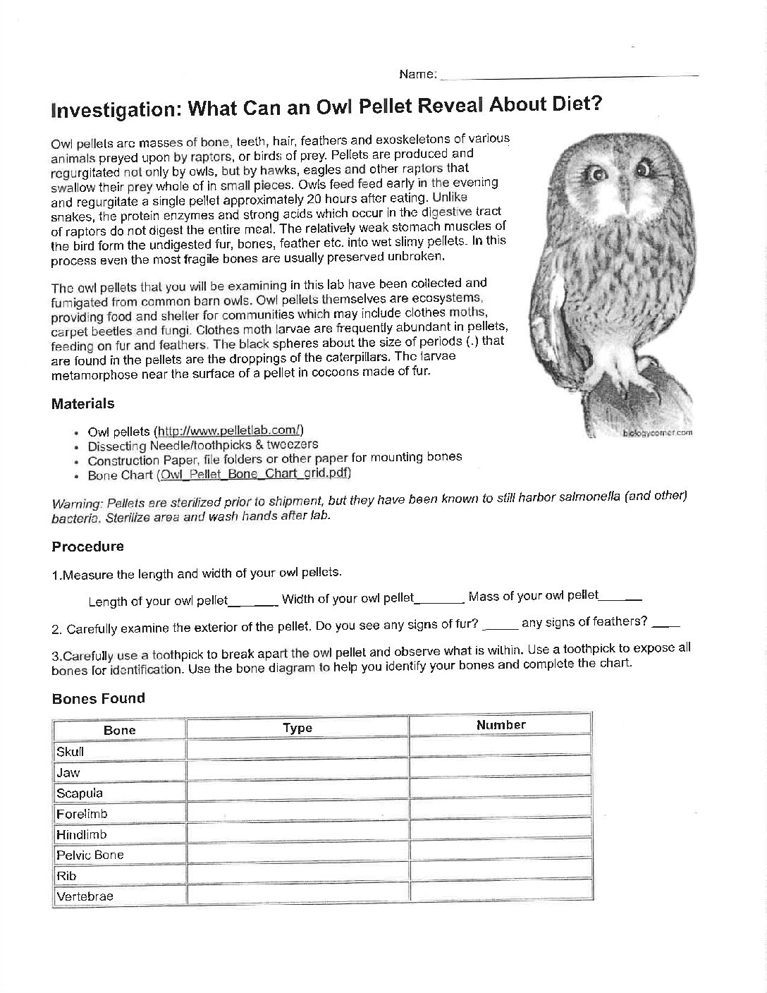 Owl Pellet Data Sheet With Analysis