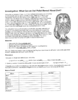 Owl Pellet Data Sheet With Analysis