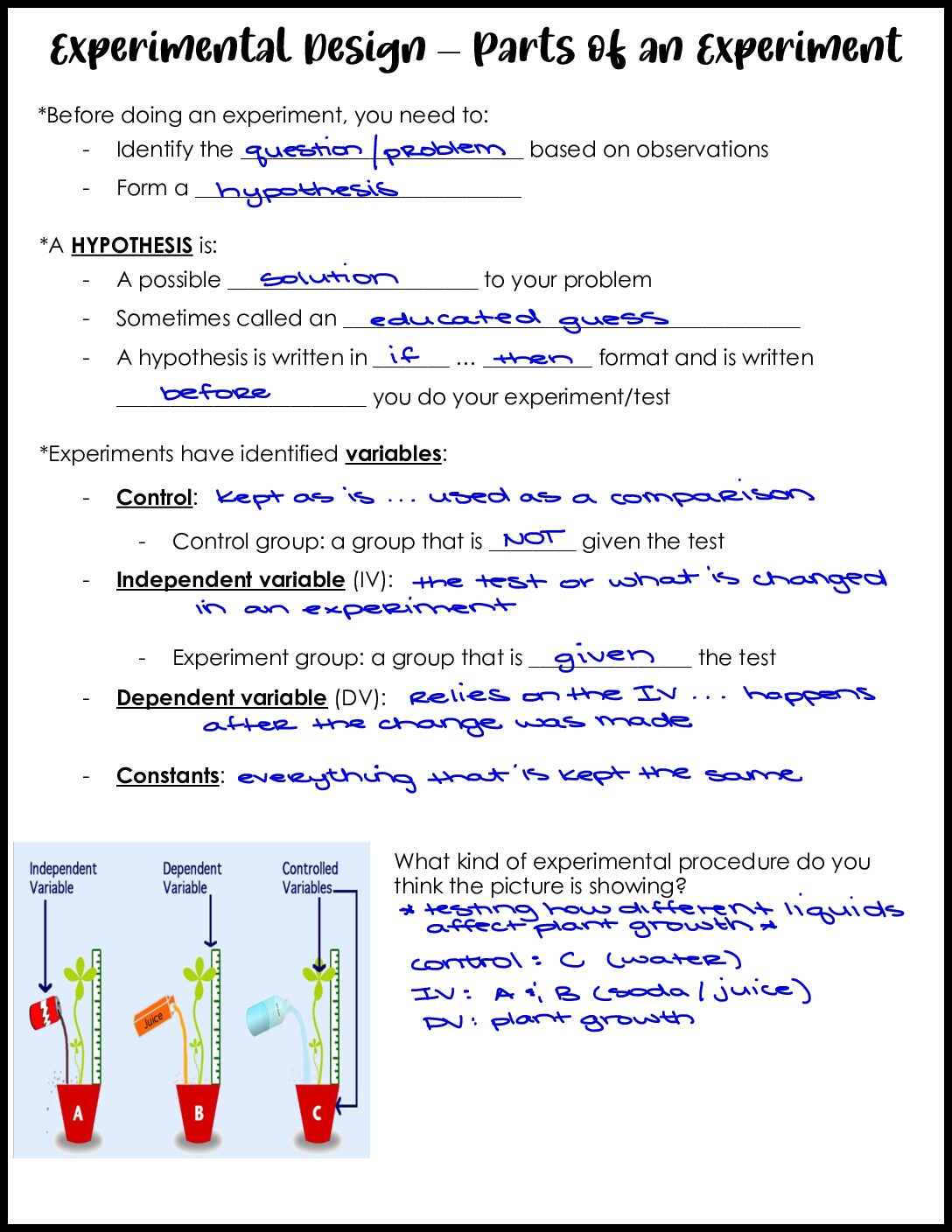 Parts Of An Experiment Key