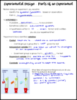 Parts Of An Experiment Key