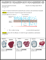 Passive Transport Processes