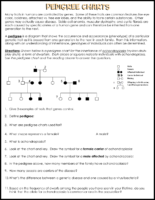 Pedigree Charts