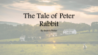 Peter Rabbit Live2