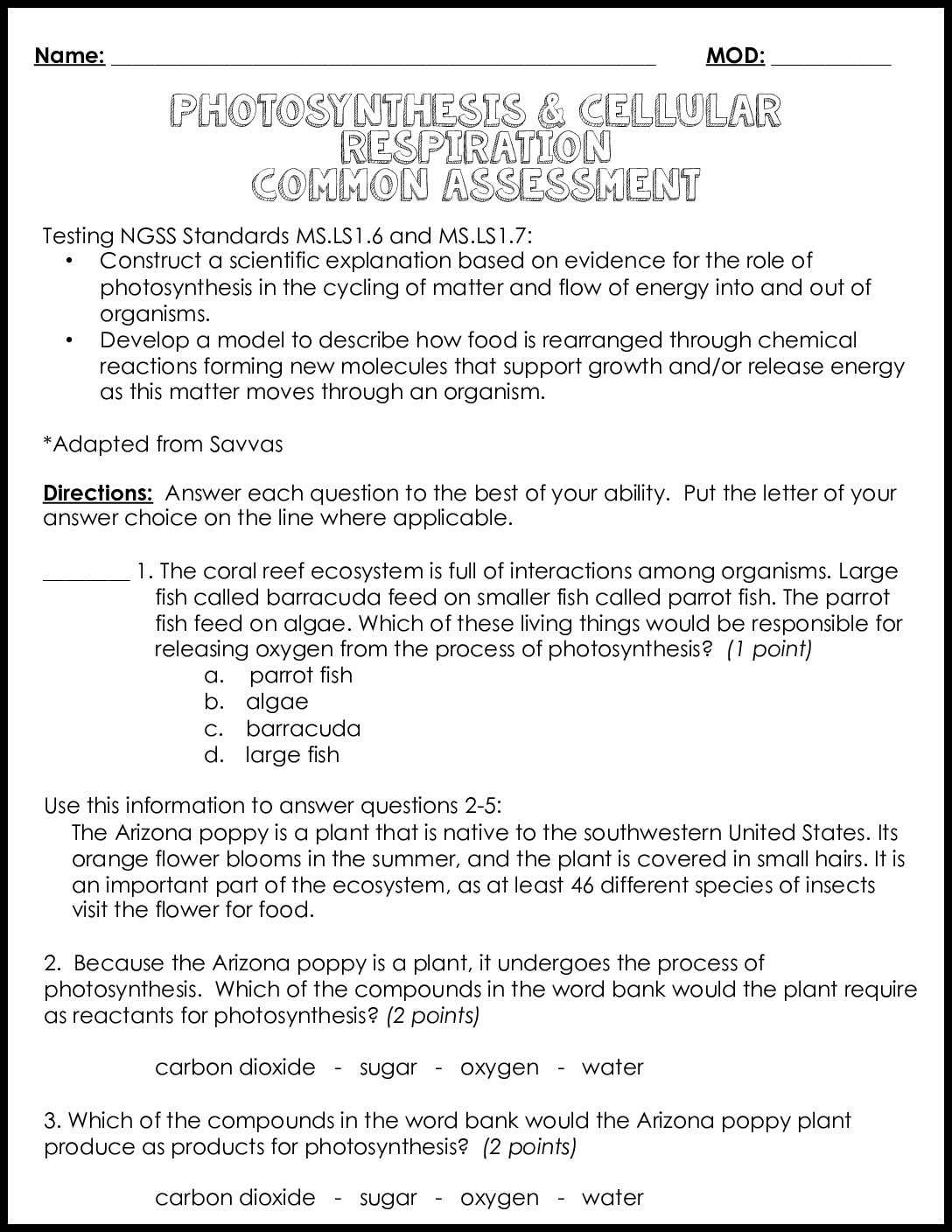 Photosynthesis And Cellular Respiration Common Assessment