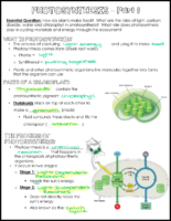 Photosynthesis Notes Key