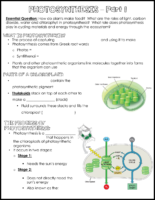 Photosynthesis Notes