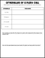 Plant Cell Organelles