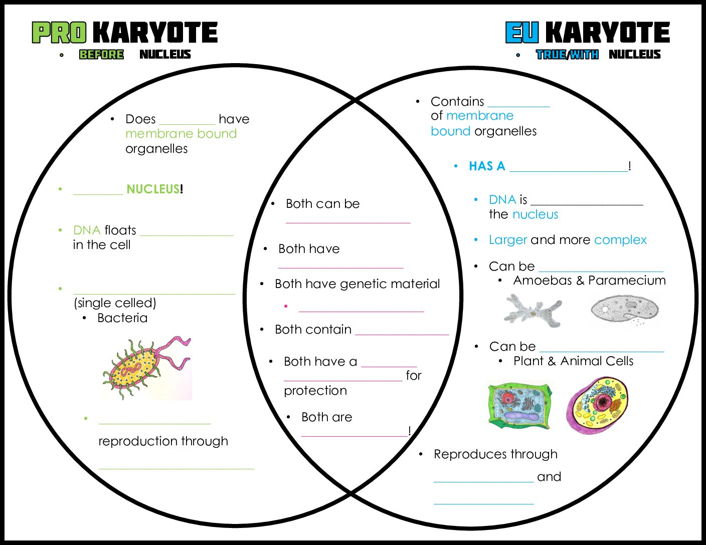 Pro Vs Eu Venn Diagram