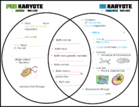 Pro Vs Eu Venn Diagram