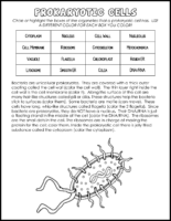 Prokaryotic Cells Color Coding