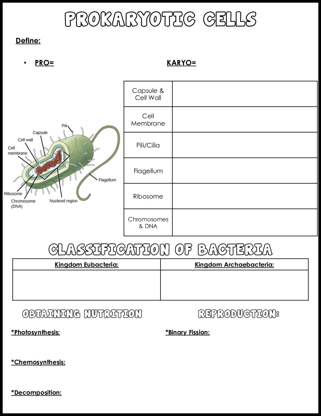 Prokaryotic Cells Notes