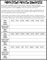 Protein Synthesis Practice