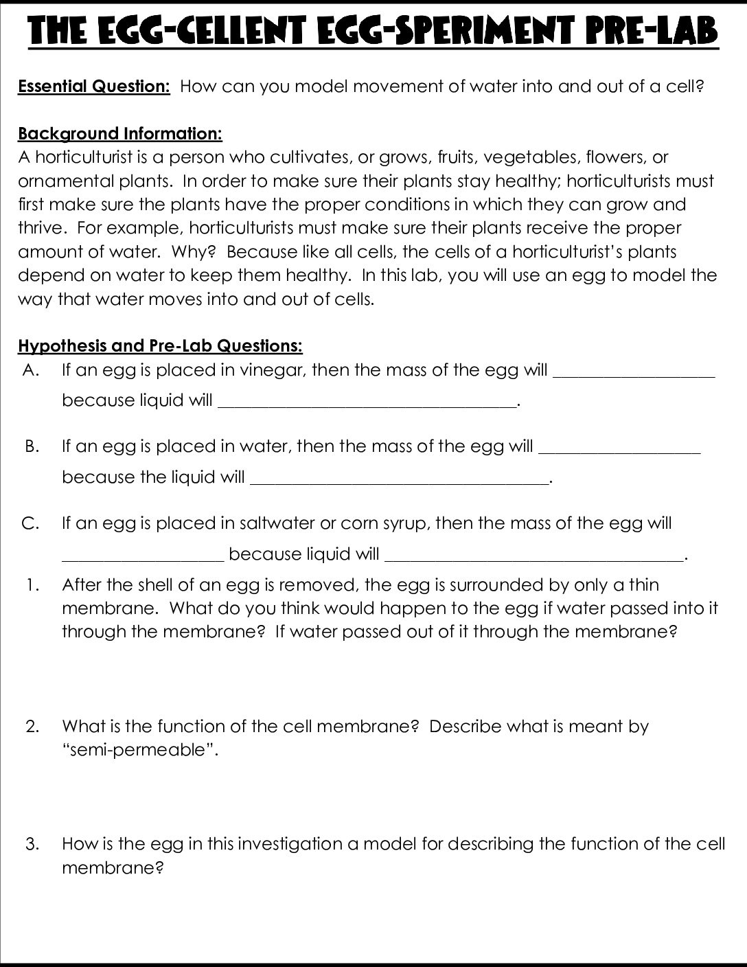 Q2Ca Egg Cellent Osmosis Lab (1)