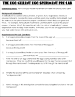 Q2Ca Egg Cellent Osmosis Lab (1)