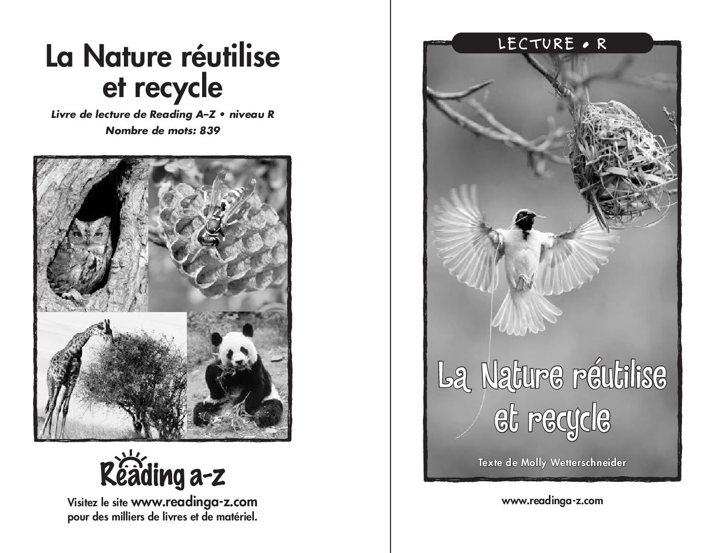 Raz Lr01 Naturerecycles Fr (1)