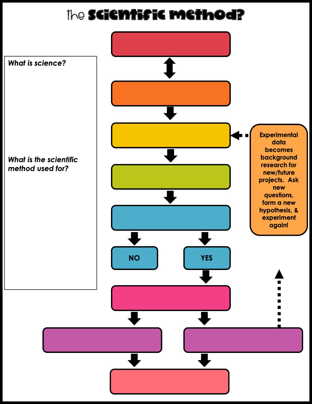 Scientific Method Flow Chart