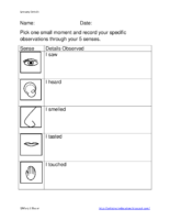 Sensory Details